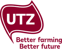 UTZ